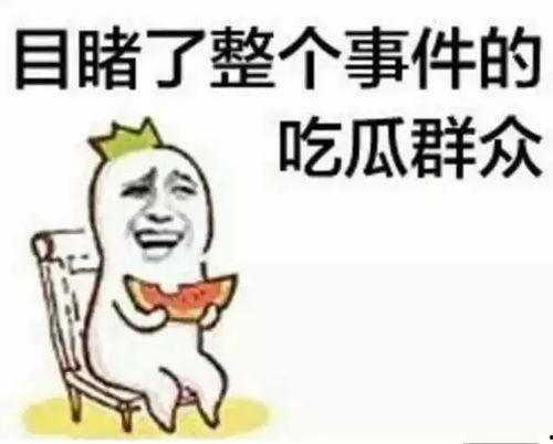 陈嘉欣吃瓜群众是真的吗,吃瓜群众身份的真实性揭秘