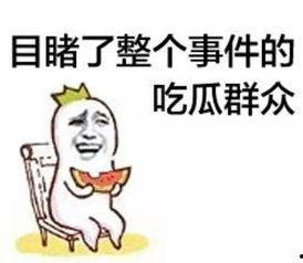 吃瓜群众陈哥是谁扮演的,揭秘“吃瓜群众”背后的神秘面纱