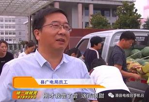 吃瓜群众与记者,揭秘娱乐圈幕后真相