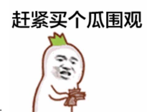 疯狂的郭梦晨吃瓜群众,揭秘娱乐圈幕后真相