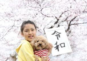 鹤婉吃瓜群众,揭秘娱乐圈吃瓜群众的幕后故事