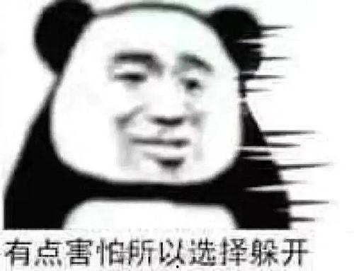 咱是个吃瓜群众表情包,揭秘娱乐圈那些事儿