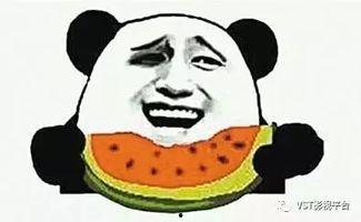 吃瓜群众的瓜没了,吃瓜群众瓜没了,揭秘幕后真相