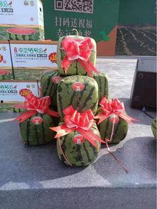 吃瓜群众称号值钱吗,揭秘网络时代“瓜农”的财富密码