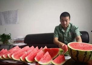 开心麻花吃瓜群众是谁,揭秘开心麻花“吃瓜群众”背后的故事