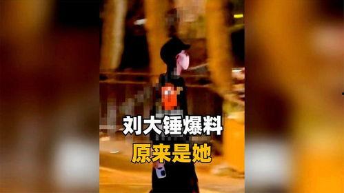 吃瓜群众刘大锤是谁,吃瓜群众刘大锤的传奇故事