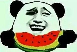 吃瓜群众记住你了吗,你是否还记得我？