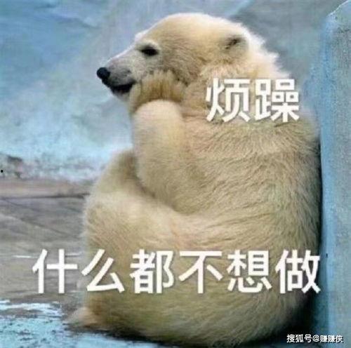 吃瓜群众表情图 会动的,吃瓜群众表情包背后的喜怒哀乐