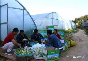 养鱼的吃瓜群众,吃瓜群众眼中的鱼儿美食世界