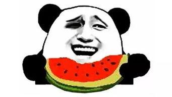 群众吃金牙瓜视频下载,探寻民间特色小吃之旅