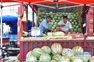 世人多是吃瓜群众,揭秘当代社会大众心理